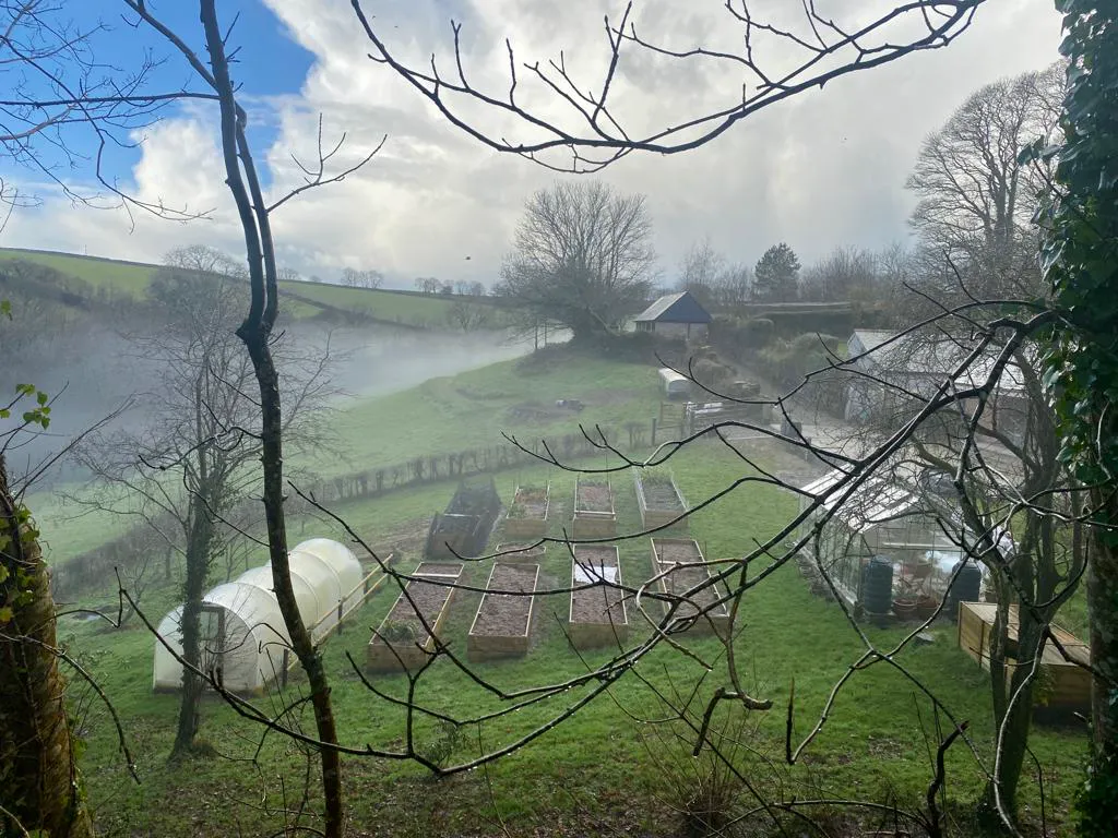Veg Plot